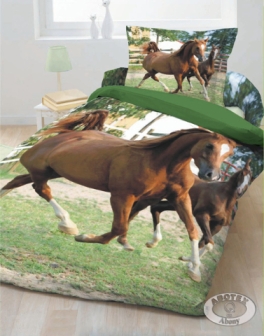 WDÁ003